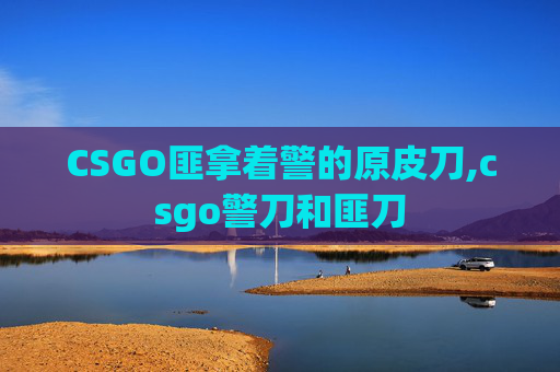 CSGO匪拿着警的原皮刀,csgo警刀和匪刀