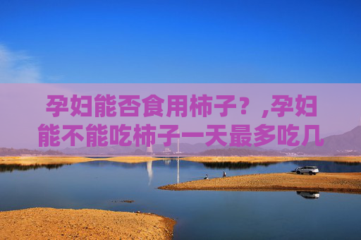 孕妇能否食用柿子？,孕妇能不能吃柿子一天最多吃几个