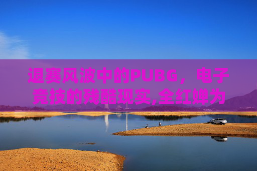 退赛风波中的PUBG，电子竞技的残酷现实,全红婵为什么退赛