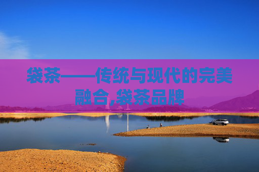 袋茶——传统与现代的完美融合,袋茶品牌