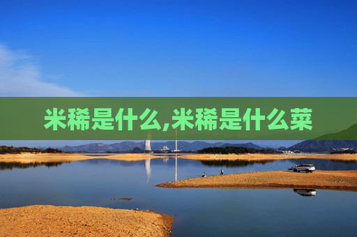 米稀是什么,米稀是什么菜