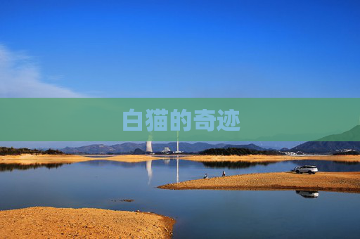 白猫的奇迹