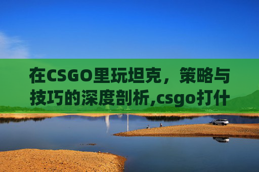 在CSGO里玩坦克，策略与技巧的深度剖析,csgo打什么