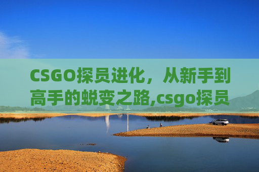 CSGO探员进化，从新手到高手的蜕变之路,csgo探员属性排序