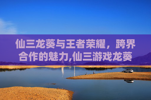 仙三龙葵与王者荣耀，跨界合作的魅力,仙三游戏龙葵图片