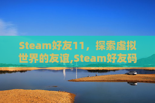 Steam好友11，探索虚拟世界的友谊,Steam好友码在哪查看