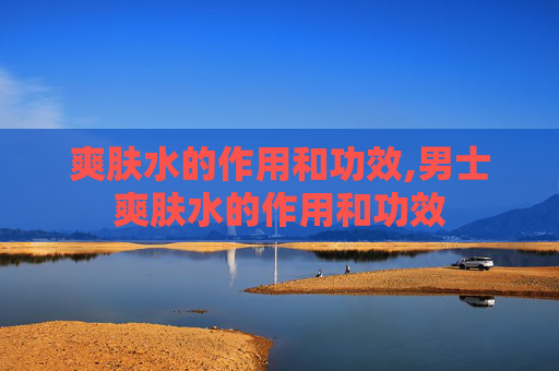 爽肤水的作用和功效,男士爽肤水的作用和功效