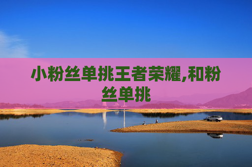 小粉丝单挑王者荣耀,和粉丝单挑