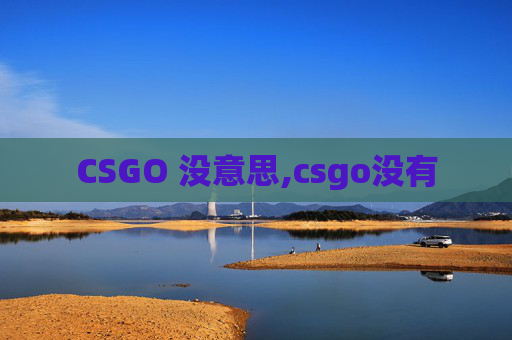 CSGO 没意思,csgo没有