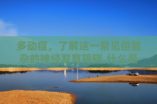 多动症，了解这一常见但复杂的神经发育障碍,什么是多动症的孩子