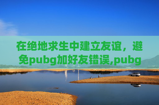 在绝地求生中建立友谊，避免pubg加好友错误,pubg无法加好友