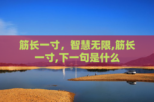 筋长一寸，智慧无限,筋长一寸,下一句是什么