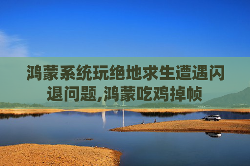鸿蒙系统玩绝地求生遭遇闪退问题,鸿蒙吃鸡掉帧