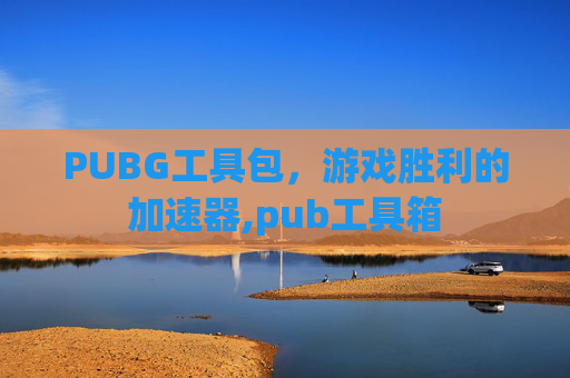 PUBG工具包，游戏胜利的加速器,pub工具箱