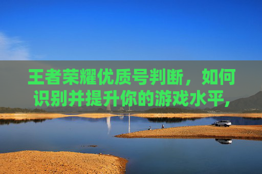 王者荣耀优质号判断，如何识别并提升你的游戏水平,王者荣耀优质号判断好坏