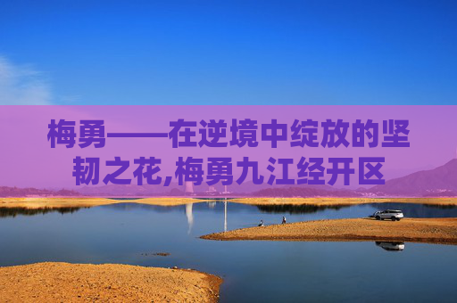梅勇——在逆境中绽放的坚韧之花,梅勇九江经开区