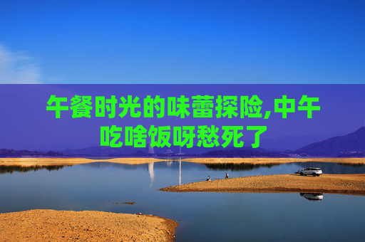 午餐时光的味蕾探险,中午吃啥饭呀愁死了