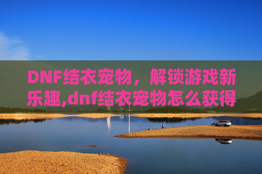 DNF结衣宠物，解锁游戏新乐趣,dnf结衣宠物怎么获得