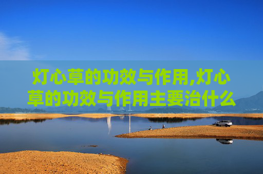 灯心草的功效与作用,灯心草的功效与作用主要治什么病