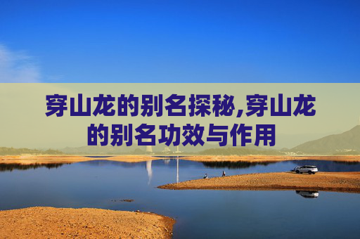 穿山龙的别名探秘,穿山龙的别名功效与作用