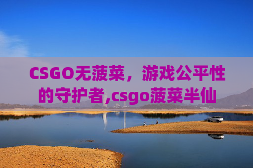 CSGO无菠菜，游戏公平性的守护者,csgo菠菜半仙