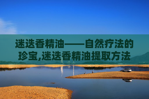 迷迭香精油——自然疗法的珍宝,迷迭香精油提取方法