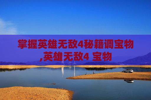 掌握英雄无敌4秘籍调宝物,英雄无敌4 宝物