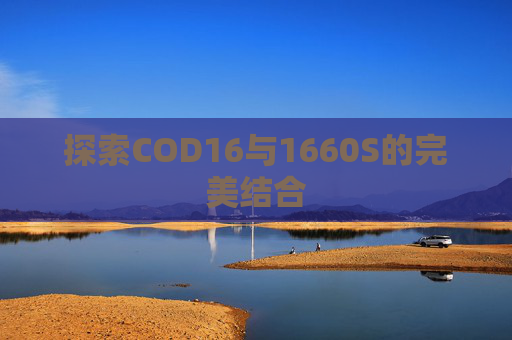 探索COD16与1660S的完美结合