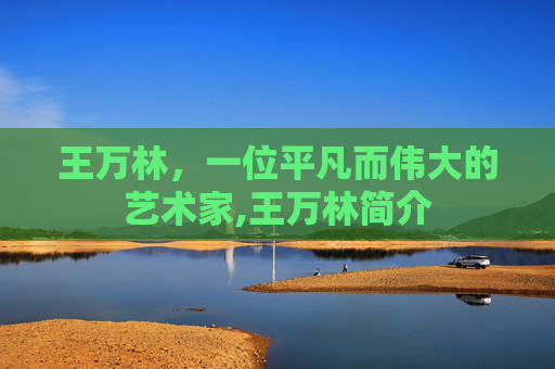 王万林，一位平凡而伟大的艺术家,王万林简介
