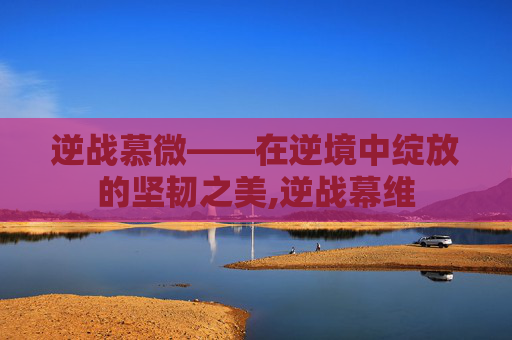 逆战慕微——在逆境中绽放的坚韧之美,逆战幕维