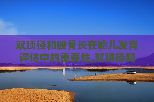双顶径和股骨长在胎儿发育评估中的重要性,双顶径和股骨长看男女准确率有多高?