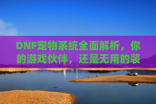 DNF宠物系统全面解析，你的游戏伙伴，还是无用的装饰？,dnf宠物从哪弄