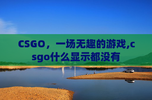 CSGO，一场无趣的游戏,csgo什么显示都没有