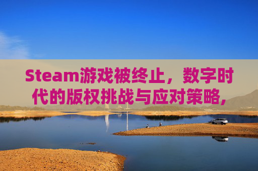 Steam游戏被终止，数字时代的版权挑战与应对策略,steam游戏停止