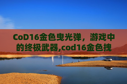 CoD16金色曳光弹，游戏中的终极武器,cod16金色拽光弹
