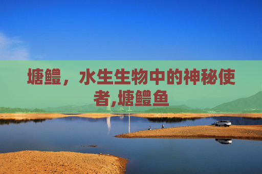 塘鳢，水生生物中的神秘使者,塘鳢鱼