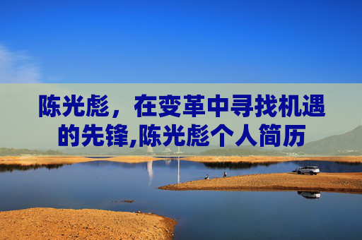 陈光彪，在变革中寻找机遇的先锋,陈光彪个人简历
