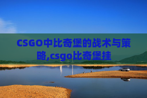 CSGO中比奇堡的战术与策略,csgo比奇堡挂