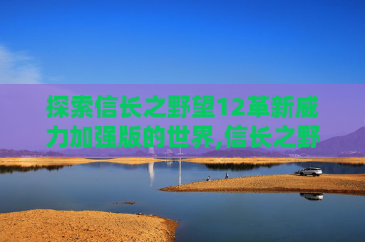 探索信长之野望12革新威力加强版的世界,信长之野望12革新威力加强版攻略