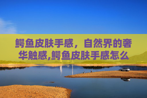 鳄鱼皮肤手感，自然界的奢华触感,鳄鱼皮肤手感怎么样