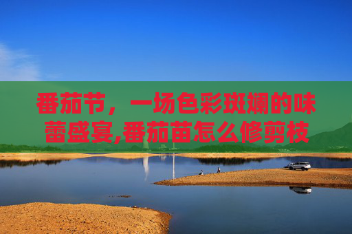 番茄节，一场色彩斑斓的味蕾盛宴,番茄苗怎么修剪枝条