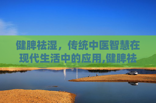 健脾祛湿，传统中医智慧在现代生活中的应用,健脾祛湿疏肝理气的中成药