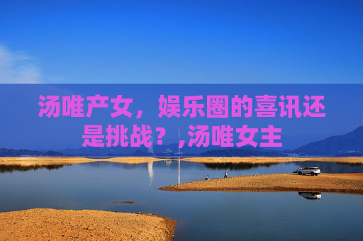 汤唯产女，娱乐圈的喜讯还是挑战？,汤唯女主