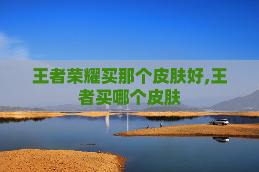 王者荣耀买那个皮肤好,王者买哪个皮肤