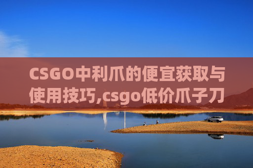 CSGO中利爪的便宜获取与使用技巧,csgo低价爪子刀推荐