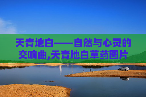 天青地白——自然与心灵的交响曲,天青地白草药图片