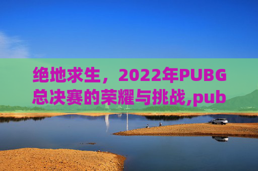 绝地求生，2022年PUBG总决赛的荣耀与挑战,pubg总决赛冠军