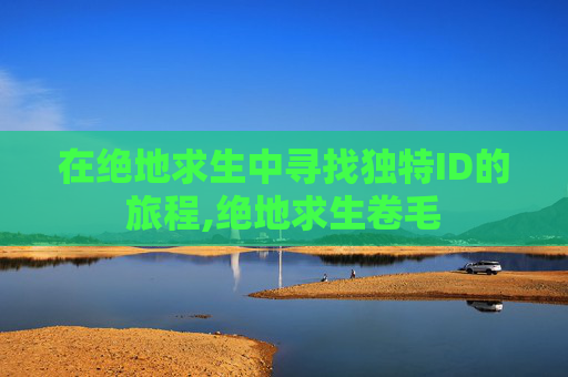 在绝地求生中寻找独特ID的旅程,绝地求生卷毛