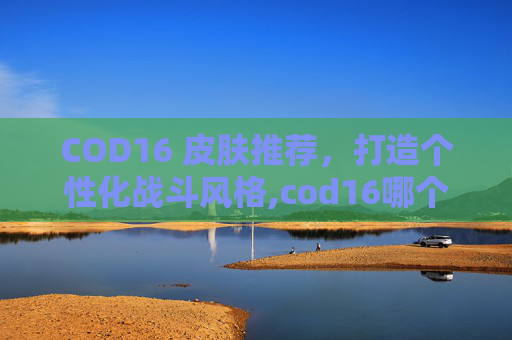 COD16 皮肤推荐，打造个性化战斗风格,cod16哪个皮肤好看