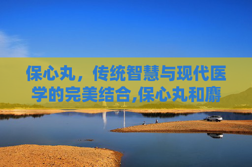 保心丸，传统智慧与现代医学的完美结合,保心丸和麝香保心丸的区别